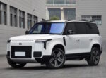 Polar Stone 01 (2024)