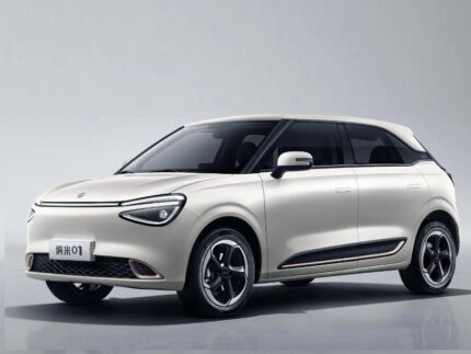 Dongfeng Nammi (2024) 01