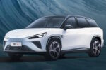 Neta L (2024)