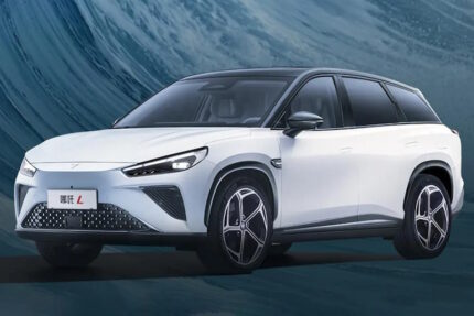 Neta L (2024)