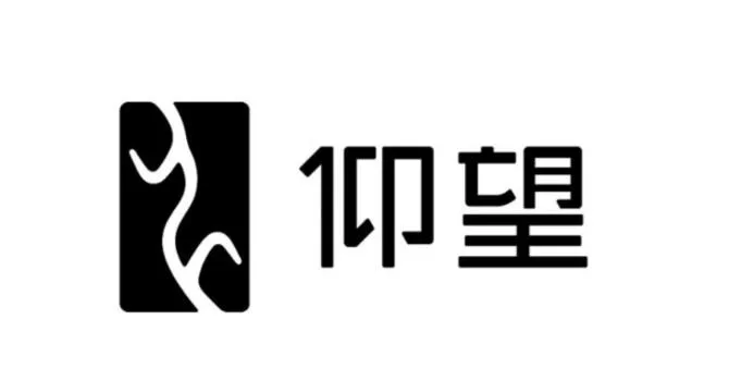 Yangwang logo